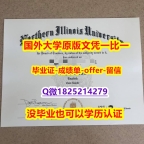 假文凭【美国北伊利诺伊大学学位证书硕士offer】1825214279微Q怎么买】留学学分不够不能毕业怎么办