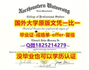 ✔海牙学历认证 【美国东北大学学位证书硕士offer】1825214279微Q国内认可】补办硕士成绩单