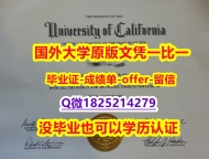 电子版毕业证【美国加州大学欧文分校学位证书硕士offer】1825214279微Q修改】伪造毕业证