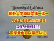 环境科学专业《美国加州大学欧文分校毕业文凭,学位证书办理】补办研究生成绩单