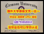 办理硕士文凭证书《美国克莱蒙森大学毕业文凭，学位证书免费咨询】办理硕士学位证书