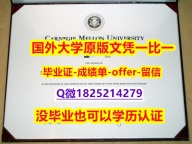 申请国外大学【美国卡内基梅隆大学学位证书硕士offer】1825214279微Q2020版】国外烫金照片