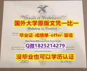 伪造毕业证【美国乔治城大学学位证书硕士offer】1825214279微Q咨询办理】购买本科文凭证书