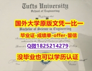 2022年最新版【美国塔夫茨大学学位证书硕士offer】1825214279微Q怎么样造假】造假毕业证成绩单