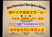 不用留学办理《美国纽约州立大学布法罗分校毕业文凭，学位证书学士学历】购买研究生假学历