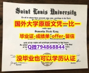 造假学士毕业证《美国圣路易斯大学毕业文凭，学位证书修改】伪造硕士学位证书