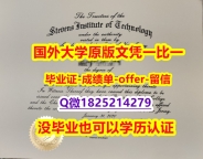 购买硕士毕业证【美国史蒂文斯科技学院学位证书硕士offer】1825214279微Q2023版】伪造研究生假学历