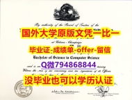 国外学历全套《美国伊利诺伊大学香槟分校毕业文凭，学位证书学士学历】购买本科学位证书