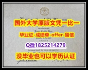 造假【美国圣汤玛斯大学学位证书硕士offer】1825214279微Q购买】办美国文凭认证
