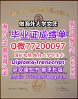 办理本科文凭U of SC学位证学士Q微77200097南卡罗来纳大学学历学位认证补做有U of S