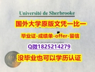 购买学士毕业证【加拿大布克大学学位证书硕士offer】1825214279微Q办理流程】文凭如何办理,怎么办理