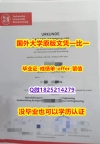 计算机科学专业【德国布伦瑞克工业大学学位证书硕士offer】1825214279微Q-学位证书是什么】【留学毕业证】