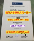 化学专业《德国杜伊斯堡-埃森大学毕业文凭，学位证书质量保证】办理本科成绩单