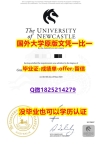 艺术/美术专业【澳洲纽卡斯尔大学学位证书硕士offer】1825214279微Q样板】办留信网认证