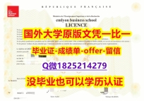 本科学生伪造【法国里昂商学院学位证书硕士offer】1825214279微Q代办】网上购买文凭是不是骗人的？