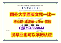 心理学专业《法国英赛克高等商学院毕业文凭，学位证书全套伪造】办理学士假学历