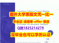 ✔谷歌力推【新西兰泰瑞维提理工学院学位证书硕士offer】1825214279微Q硕士offer】在校挂科了，不想读了，成绩不理想怎么办？？？