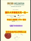 回国学位认证毕业证办理 《新西兰惠灵顿维多利亚大学毕业文凭,学位证书研究生学历】外国毕业证书在中国可以用吗?