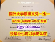 环境科学专业《美国爱荷华大学毕业文凭,学位证书怎么样造假】留学生在哪里购买学位证书