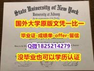 办理【美国奥尔巴尼大学学位证书硕士offer】1825214279微Q博士offer】补办研究生毕业证