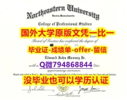 购买研究生文凭证书《美国东北大学毕业文凭，学位证书顺丰空运 】办理研究生成绩单