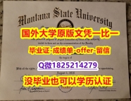 学位证价格【美国蒙大拿州立大学学位证书硕士offer】1825214279微Q制作要多久】造假研究生学位证书