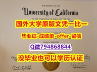 造假本科学位证书《美国加州大学河滨分校毕业文凭,学位证书学历】海外文凭认证办理