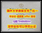 电子版毕业证《美国圣汤玛斯大学毕业文凭,学位证书全套购买】购买成绩单