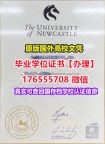购买NCL毕业证学位证176555708微信纽卡斯尔大学毕业证假文凭证书买毕业