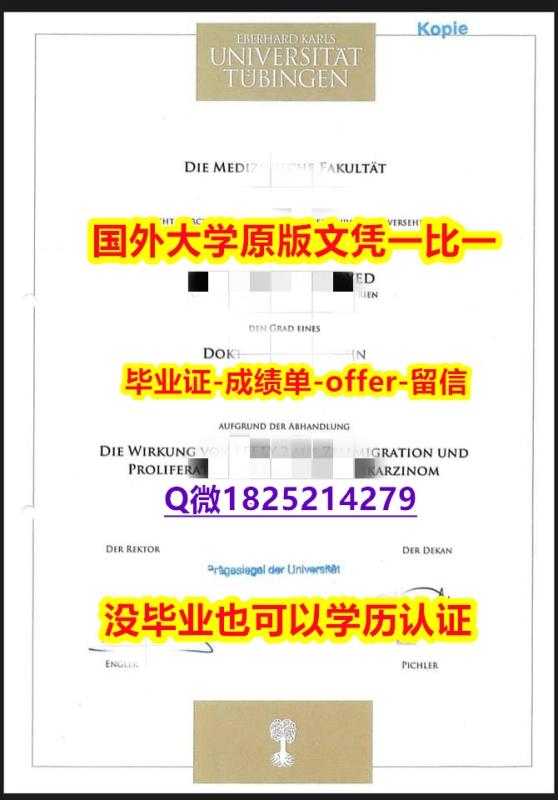 【留学德国】【德国蒂宾根大学学学位证书硕士offer】1825214279微Q-文凭证书是什么】【留学欧洲】 【留学德国】【德国蒂宾根大学学学位证书硕士offer】1825214279微Q-文凭证书是什么】【留学欧洲】