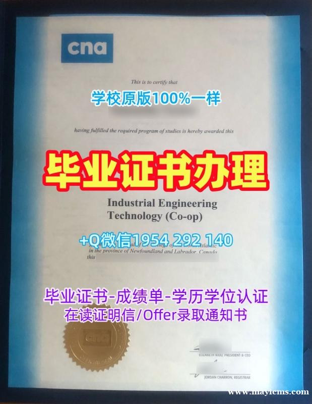 复刻格罗斯泰斯特主教大学研究生毕业证BG学历认证报告的四种方法Bishop Grosseteste University Office Transcript 复刻格罗斯泰斯特主教大学研究生毕业证BG学历认证报告的四种方法Bishop Grosseteste University Office Transcript