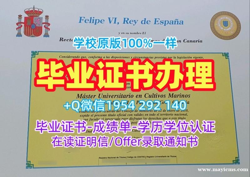 获取马德里康普顿斯大学硕士毕业证UCM本科学位证书的最佳途径Universidad Complutense de Madrid Degree Certificate 获取马德里康普顿斯大学硕士毕业证UCM本科学位证书的最佳途径Universidad Complutense de Madrid Degree Certificate