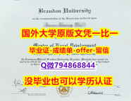 申请大学《加拿大布兰登大学毕业文凭，学位证书研究生证书】造假研究生成绩单