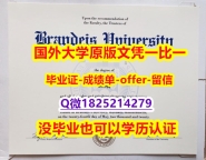 办理学士【美国布兰迪斯大学学位证书硕士offer】1825214279微Q在哪里可以办理】学历认证 硕士