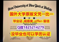 精仿文凭【美国纽约州立大学布法罗分校学位证书硕士offer】1825214279微Q制作❤️】留学生在哪里购买毕业证