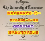 留学学分不够怎么办【美国田纳西大学学位证书硕士offer】1825214279微Q代办】假毕业证能查出来吗