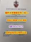 最新版毕业证【英国埃塞克斯大学学位证书硕士offer】1825214279微Q怎么买】不能正常毕业 不想放弃学历