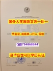 伪造研究生《德国柏林自由大学毕业文凭,学位证书零差评】造假学士学位证书