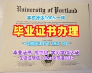 美国CMU毕业证书复印件卡内基梅隆大学成绩单购买需要注意什么?Carnegie Mellon University Bachelor Diploma