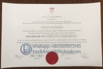麦吉尔大学文凭，McGill University degree