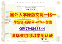 国外文凭补办《法国勒芒大学毕业文凭,学位证书细节实拍图】国外模版
