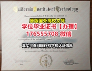 咨询Caltech毕业证文凭证书176555708微信加州理工学院毕业证学历书假学位证