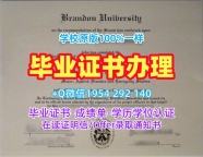 五个常见的美国utdallas本科毕业证书德州大学达拉斯分校成绩单电子版复刻误区University of Texas at Dallas Bachloer Degree