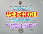 复刻新加坡Informatics毕业证认证英华美学院学历证书的完整流程Anglo-American Academy Degree Certificate