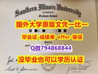 艺术史专业《美国南伊利诺伊大学卡本代尔校区大学毕业文凭，学位证书认证】购买研究生毕业证
