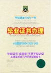 荷兰Leiden电子版毕业证书莱顿大学学位证书的获取方式Universiteit Leiden Degree
