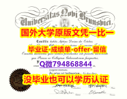 2023版毕业证文凭《加拿大新不伦瑞克大学毕业文凭，学位证书全套办理】伪造毕业证成绩单