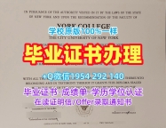 如何确保新英格兰大学本科毕业证书UNE文凭证书设计的真实性University of New England Offer letter