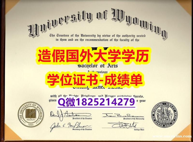 申请国外大学#UW原版毕业证全套办理】补办硕士假学历 申请国外大学#UW原版毕业证全套办理】补办硕士假学历