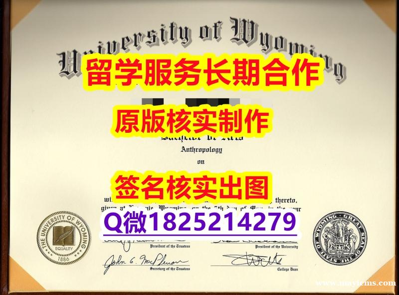 ✔谷歌力推UW学位证书样板】补办成绩单 ✔谷歌力推UW学位证书样板】补办成绩单